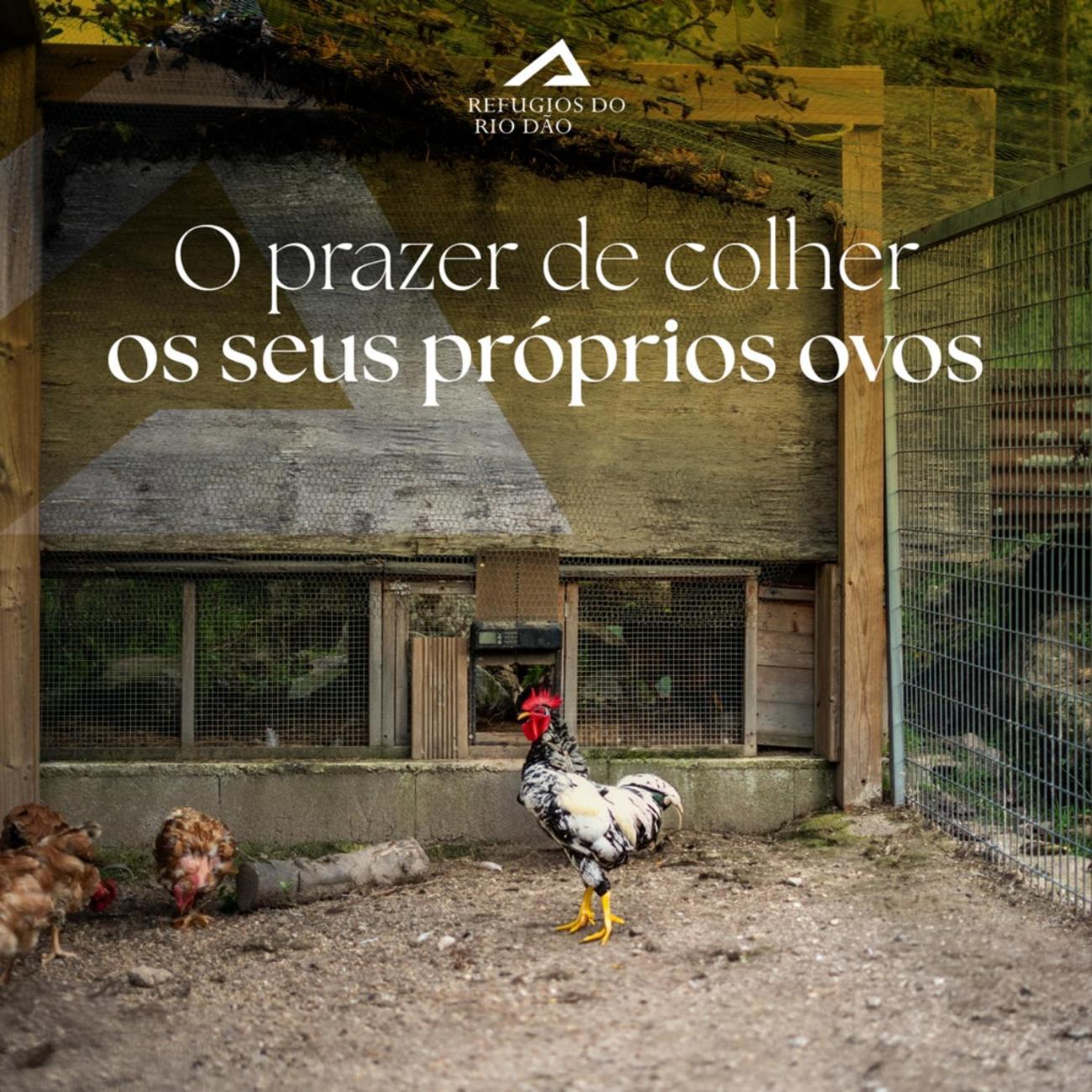 Willa Refugios Do Rio Dao Mangualde Zewnętrze zdjęcie